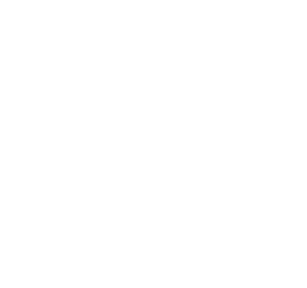 Twinworld